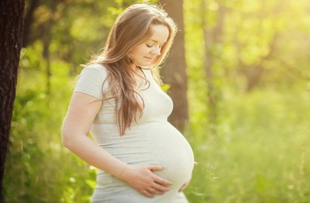 Visor Embarazo e vacinación
